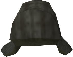 File:Lumberjack hat detail.png