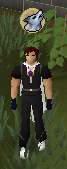 File:Protectfromsummoningprayeron.png