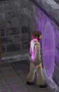 File:Rc Guild entering portal.gif