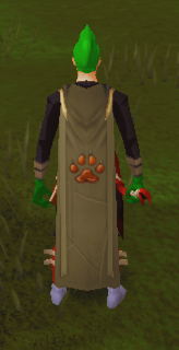 File:Untrimmed hunter cape equipped.png
