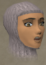 File:Canifis settler chathead.png