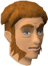 File:Ernie chathead.png