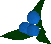 A detailed image of some dwellberries.