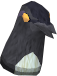 File:Magpie Chathead.png