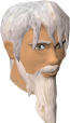 File:Seer chathead.png