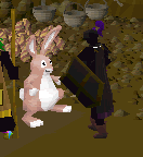 File:Bunny Transformation.gif