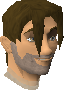 File:Courier chathead.png