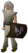 File:Corrupt dragon sq shield equipped.png