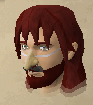 File:Fake moustache and nose chathead.png