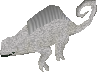 File:Baby-chameleon-snow.png