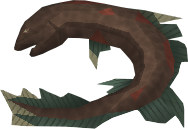 File:Salve eel detail.png