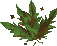 Thumbnail for version as of 23:37, 8 January 2024