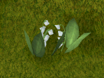 File:Lilies of the valley.png