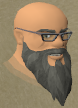 File:Alviss chathead.png