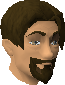 File:Sir Vant chathead.png