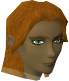 File:Wanderer chathead.png