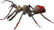 File:Bull ant.png