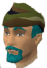 File:Camo hemlet chathead.png