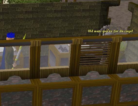 File:Pillory guard going after the Wise Old Man.png