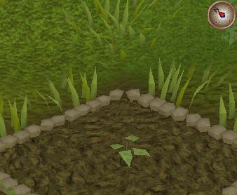 File:Whiteberry1.png