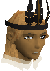 File:Forester hat chathead.png