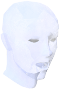 File:Ghost (Daemonheim) chathead.png