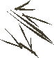 File:Hair detail.png