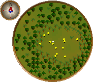 File:MiniMapofForester.png