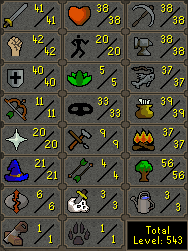 File:SkillScreenDungeoneering.png