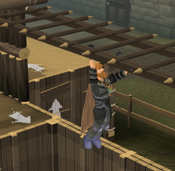 File:Burthrope agility monkey bar.png