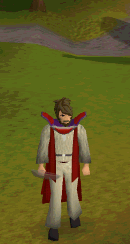 File:Cooking Emote.gif