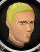 File:Squire Cerlyn chathead.png