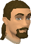 File:Thorkel Silkbeard chathead.png