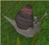 File:Bloodblamishsnail.png