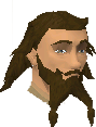 File:Bravek chathead.png
