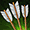 Thumbnail for version as of 23:18, 8 January 2024