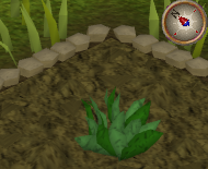 File:GreenHerb3.png