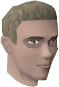 File:Wilf sick chathead.png