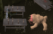 File:Ranging from a Bloodveld safespot.png