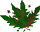 Thumbnail for version as of 23:27, 8 January 2024