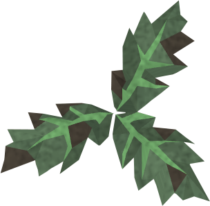 File:Grimy aloe detail.png
