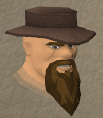 File:Hervi chathead.png