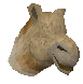 File:Louis the Camel chathead.png
