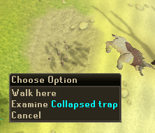 File:Empty Collapsed trap.png