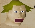 File:Fycie chathead old.png
