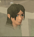 File:Ivy Sophista chathead.png