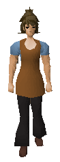 File:Brown apron old.png