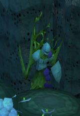 File:Polypore dungeon dead knight.png