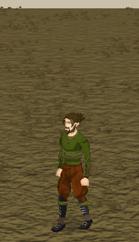 File:Repair Rune Pouch.gif