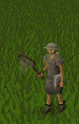 File:Dragon Kite.gif